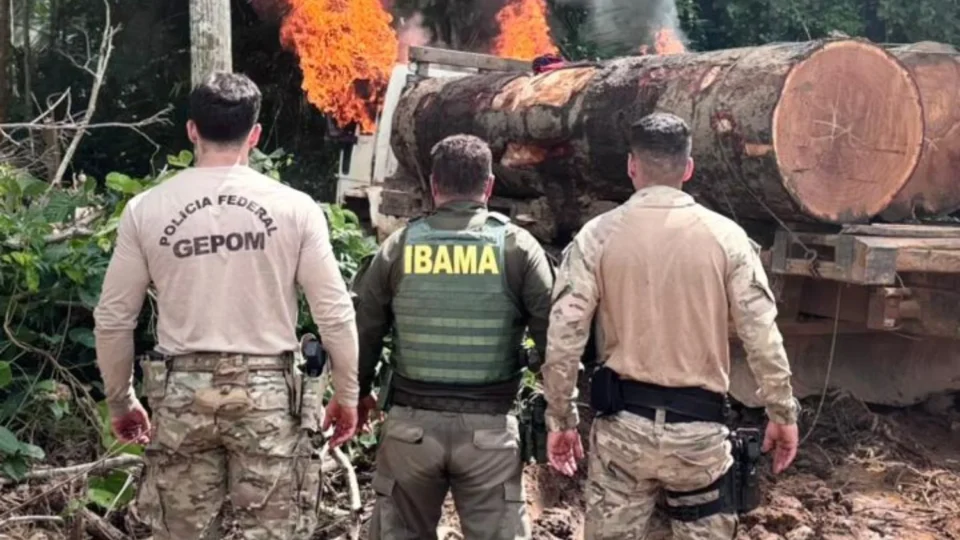 Operação Três Eixos apreende madeira ilegal em terra indígena de Guajará-Mirim