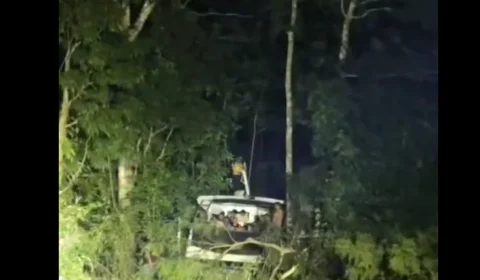 VÍDEO: lancha perde controle e invade laranjal no interior do AM