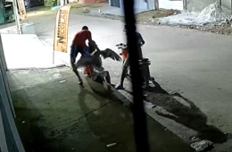 Criminoso com pato na mão chama atenção durante assalto no Pará