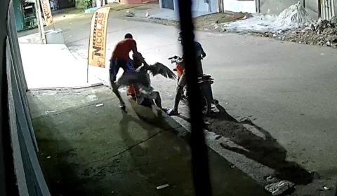 Criminoso com pato na mão chama atenção durante assalto no Pará