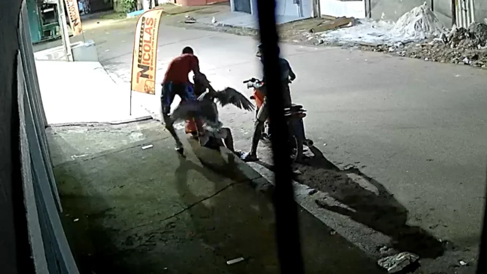 Criminoso com pato na mão chama atenção durante assalto no Pará