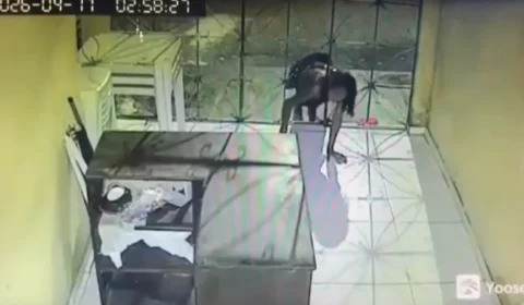 Mulher se contorce e atravessa grade para furtar pizzaria no Pará