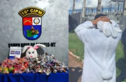 Deu Ruim: ‘Coelhinho da Páscoa’ é detido durante distribuição de chocolates em cidade de Mato Grosso
