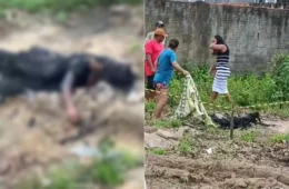 Mulher é encontrada carbonizada e suspeito é preso em Jacundá