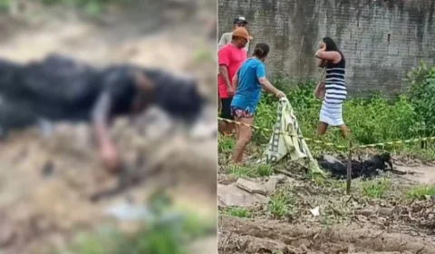 Mulher é encontrada carbonizada e suspeito é preso em Jacundá