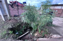 Morador denuncia risco de desmoronamento causado por galeria de esgoto na zona Sul de Porto Velho