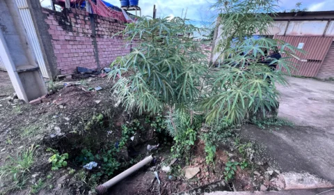 Morador denuncia risco de desmoronamento causado por galeria de esgoto na zona Sul de Porto Velho