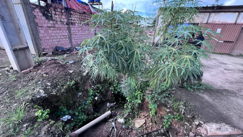 Morador denuncia risco de desmoronamento causado por galeria de esgoto na zona Sul de Porto Velho