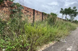 Moradores denunciam abandono, lixo e insegurança na zona Leste