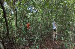 Terreno baldio vira ponto de encontros sexuais e preocupa moradores em Manaus