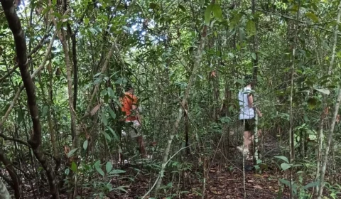 Terreno baldio vira ponto de encontros sexuais e preocupa moradores em Manaus