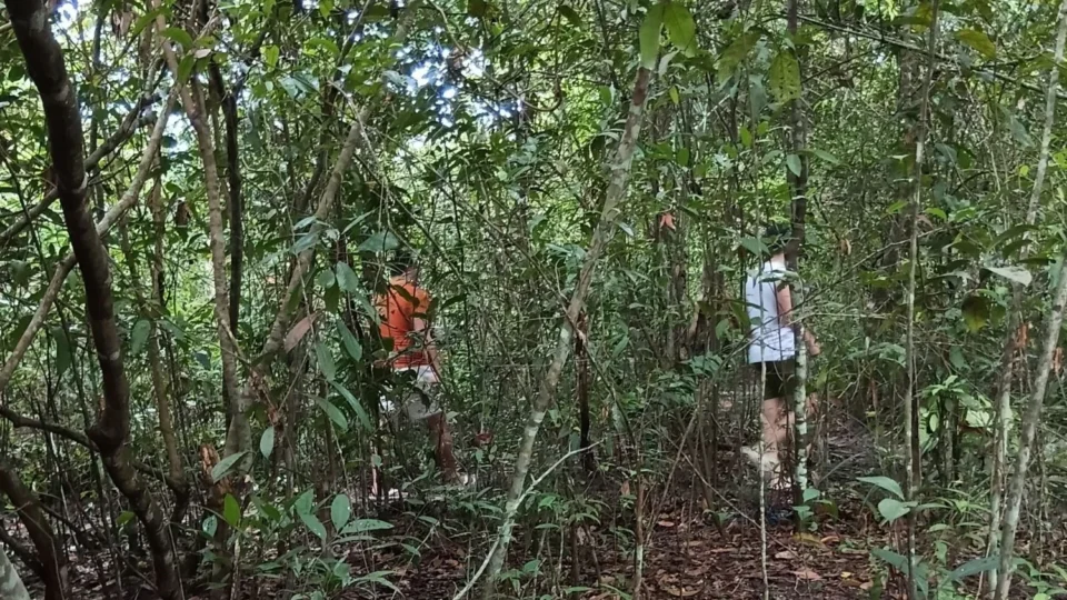 Terreno baldio vira ponto de encontros sexuais e preocupa moradores em Manaus