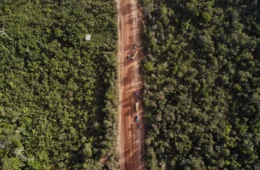 Justiça libera licitações da BR-319 e Dnit prepara novo cronograma