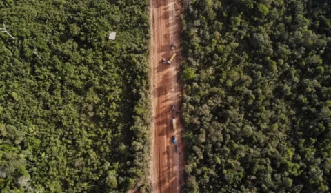 Justiça libera licitações da BR-319 e Dnit prepara novo cronograma