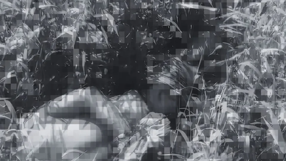 Homem é encontrado morto com mãos amarradas em área de mata em Manacapuru