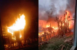 Incêndio de grandes proporções atinge área de mata e destrói casas no Careiro da Várzea