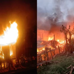 Incêndio de grandes proporções atinge área de mata e destrói casas no Careiro da Várzea