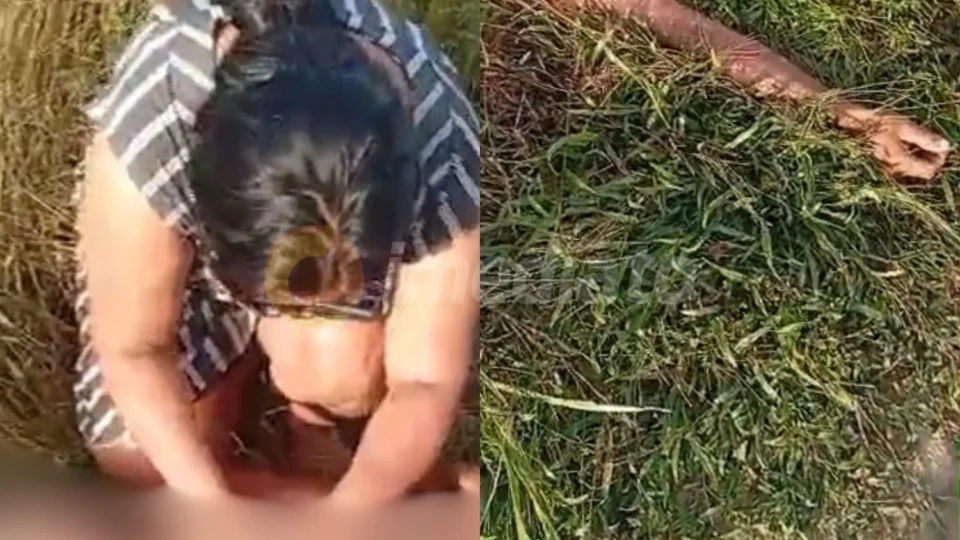 Vídeo forte: mãe chora sobre o corpo do filho após ele ser morto a pauladas pelo pai; jovem teria entrado em surto