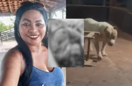 Vídeo: mulher morre após ser atacada pelo próprio pitbull no Maranhão