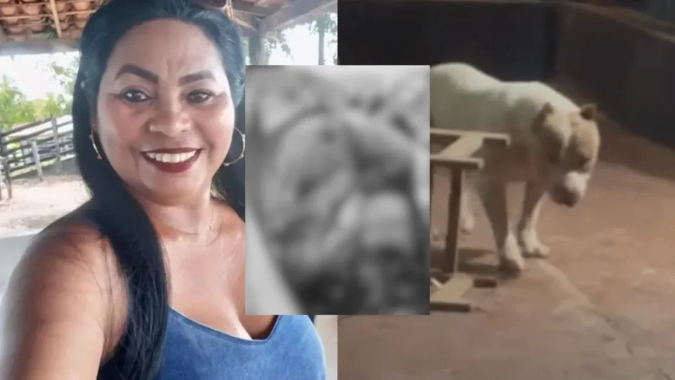 Vídeo: mulher morre após ser atacada pelo próprio pitbull no Maranhão