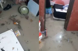 Desespero em Manaus: mãe e filha choram ao tentar salvar pertences durante alagação causada por forte chuva