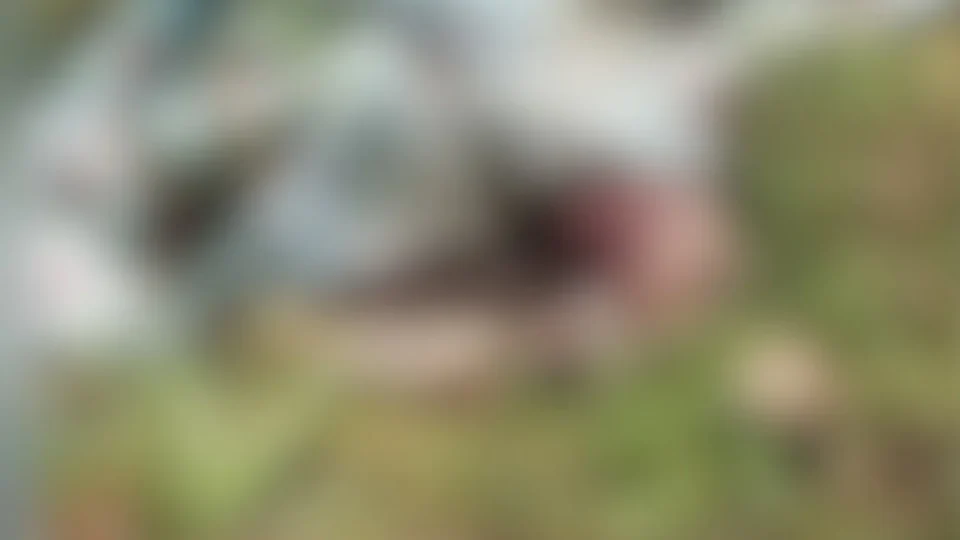 Vídeo forte: Urubus devoram corpo de vítima de morte natural e familiares cobram respostas do IML no AM