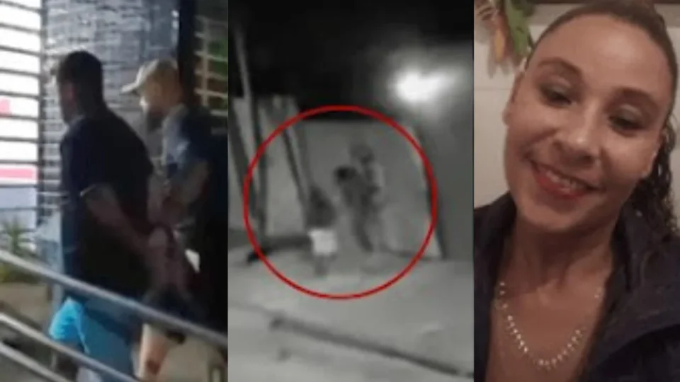 VEJA VÍDEO: Homem mata dona de pitbull e esmaga cabeça da vítima com golpes de taco de beisebol após animal atacar seu cãozinho