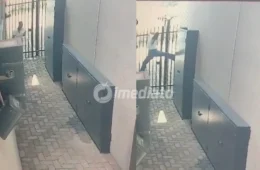 VÍDEO: Susto faz jovem tentar escalar portão de condomínio para fugir de lagarto