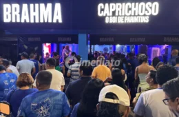 Esquenta ‘Norte Bumbás’ reúne torcida do Boi Caprichoso e antecipa clima do Festival de Parintins 2026