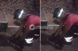 VÍDEO: Sucuri de quase 2 metros é resgatada em frente a casa no bairro Planalto, em Manaus