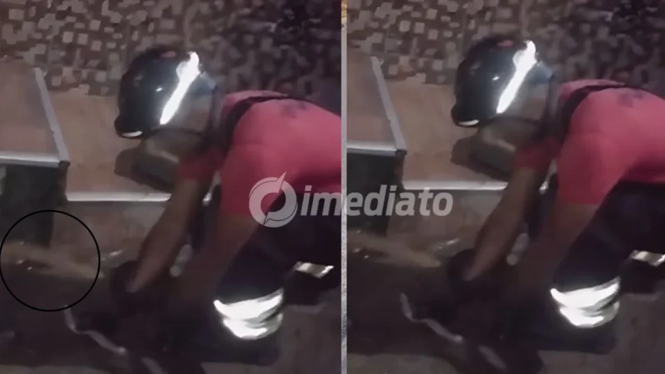 VÍDEO: Sucuri de quase 2 metros é resgatada em frente a casa no bairro Planalto, em Manaus