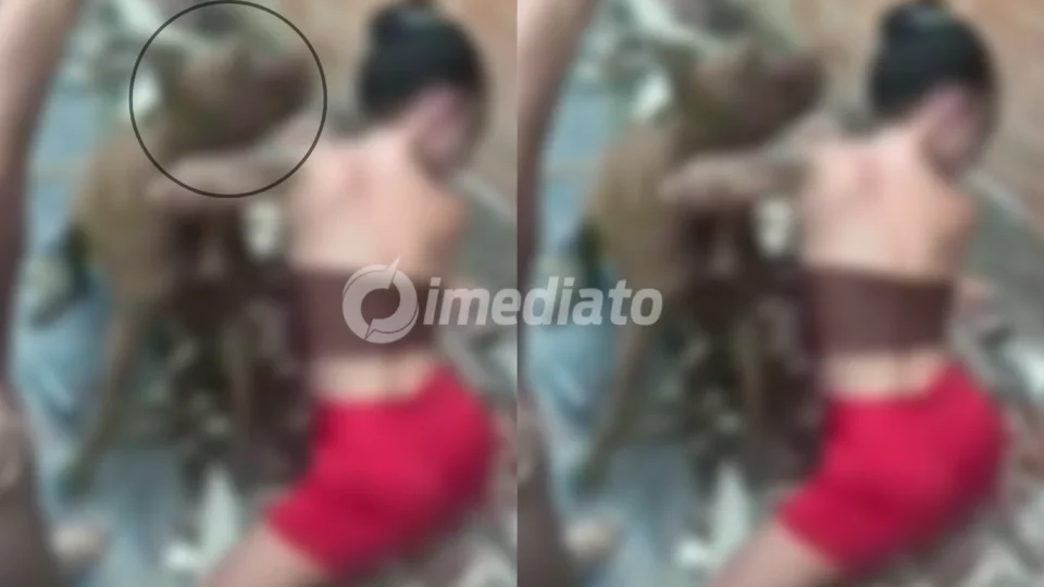 CHOCANTE: Vídeo mostra mãe incentivando ataque brutal de pitbull contra a própria filha