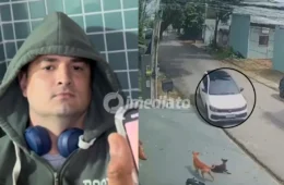 CENA FORTE: Motorista é preso no aeroporto de Manaus ao tentar fugir para São Paulo após atropelar cães no bairro Parque 10