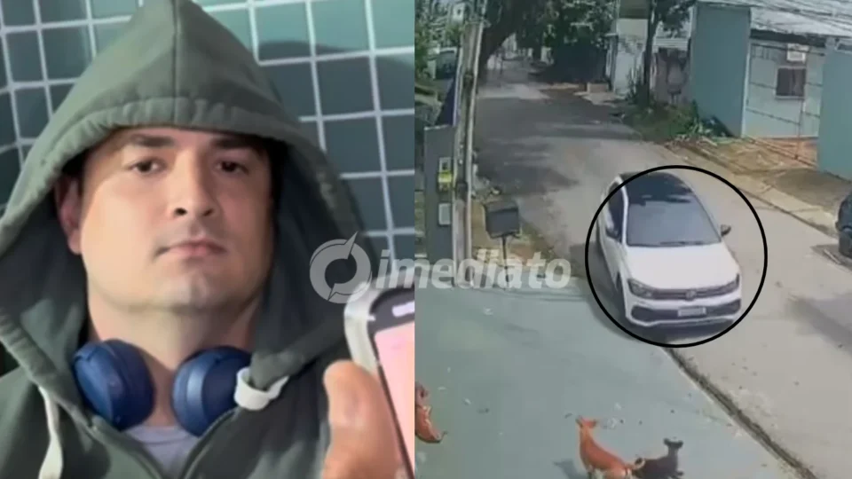 CENA FORTE: Motorista é preso no aeroporto de Manaus ao tentar fugir para São Paulo após atropelar cães no bairro Parque 10