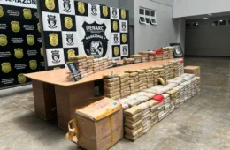 Polícia apreende mais de 300 quilos de skunk e prende suspeito em Manaus