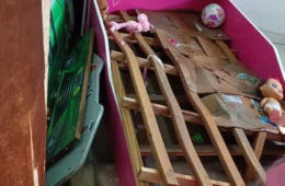“Perdi tudo na água”: mãe de criança com paralisia cerebral pede ajuda após alagamento em Manaus