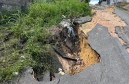 Abandono transforma rua em área de risco na zona norte