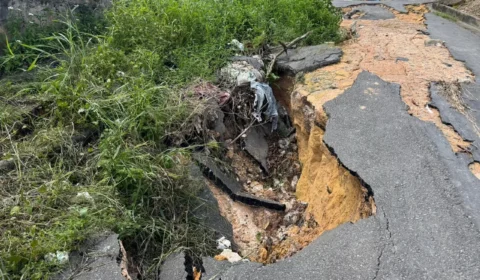 Abandono transforma rua em área de risco na zona norte