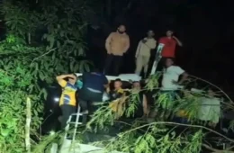Lancha com passageiros perde o controle e invade plantação de laranjas durante trajeto no interior do Amazonas