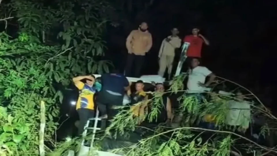 Lancha com passageiros perde o controle e invade plantação de laranjas durante trajeto no interior do Amazonas