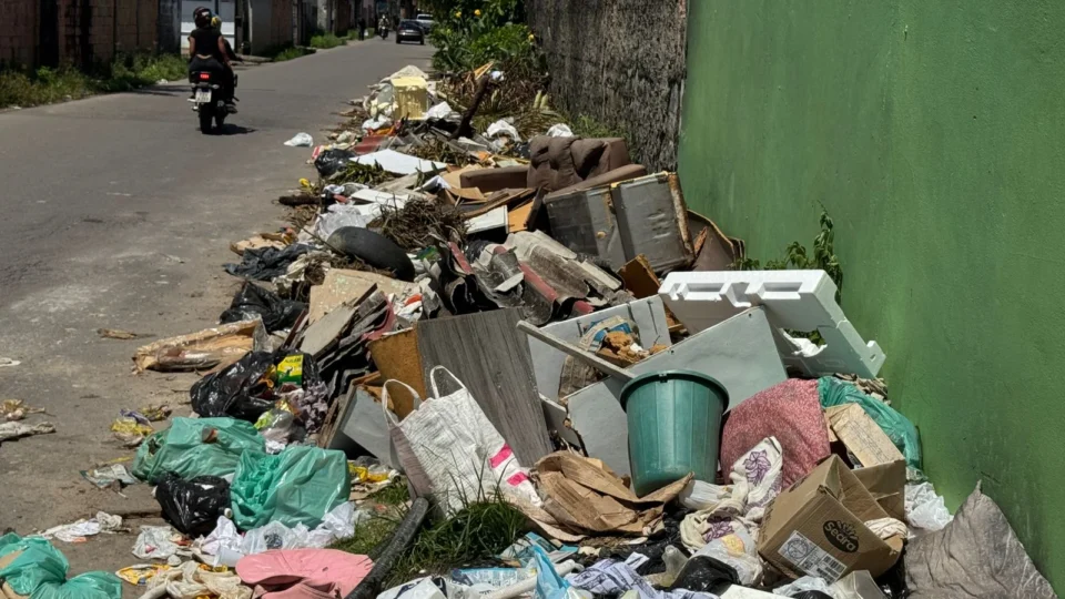 Lixão com animais mortos revolta moradores no Parque São Pedro