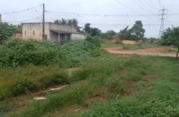 Matagal, lama e riscos: moradores denunciam abandono na Avenida José Pereira de Assis em Porto Velho