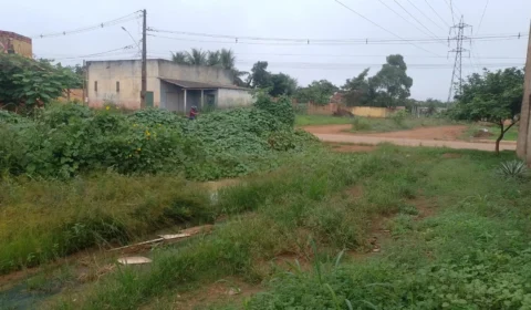Matagal, lama e riscos: moradores denunciam abandono na Avenida José Pereira de Assis em Porto Velho