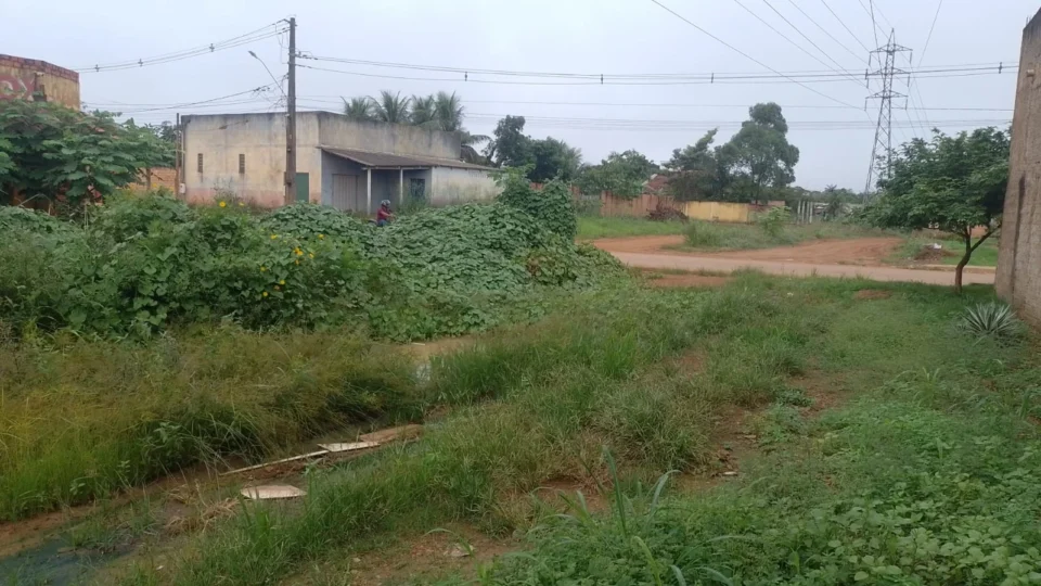 Matagal, lama e riscos: moradores denunciam abandono na Avenida José Pereira de Assis em Porto Velho