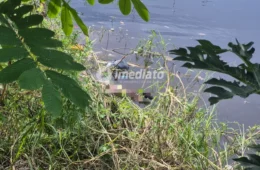 Imagens chocantes: Corpo de homem é encontrado decapitado em igarapé no bairro da Glória, em Manaus
