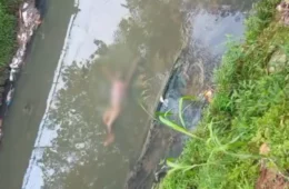 Corpo é encontrado boiando em igarapé na Compensa