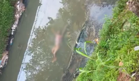 Corpo é encontrado boiando em igarapé na Compensa