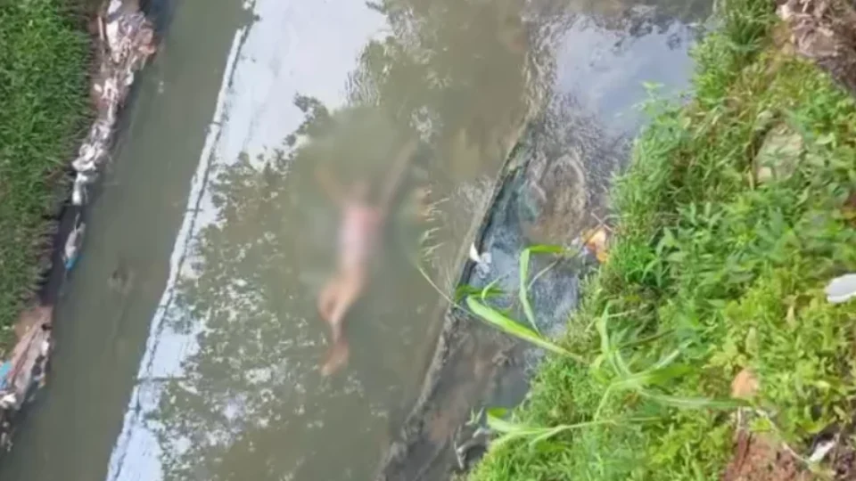 Corpo é encontrado boiando em igarapé na Compensa