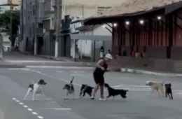 VÍDEO: Homem se assusta após ser cercado por vários cachorros durante treino e precisa interromper a corrida