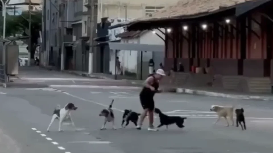 VÍDEO: Homem se assusta após ser cercado por vários cachorros durante treino e precisa interromper a corrida